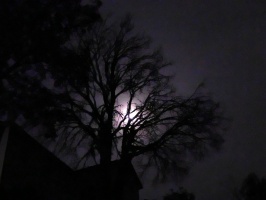 Cloudy moonlit night