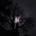 Cloudy moonlit night