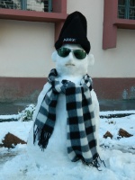 Handsome Snowman
