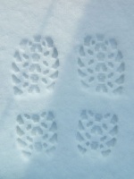 Footprints of someone great
